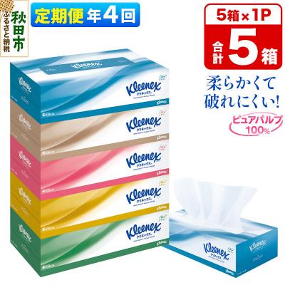 ふるさと納税 秋田市 《4回定期便》ティッシュペーパー クリネックス 5箱×1パック|15_nsc-030104