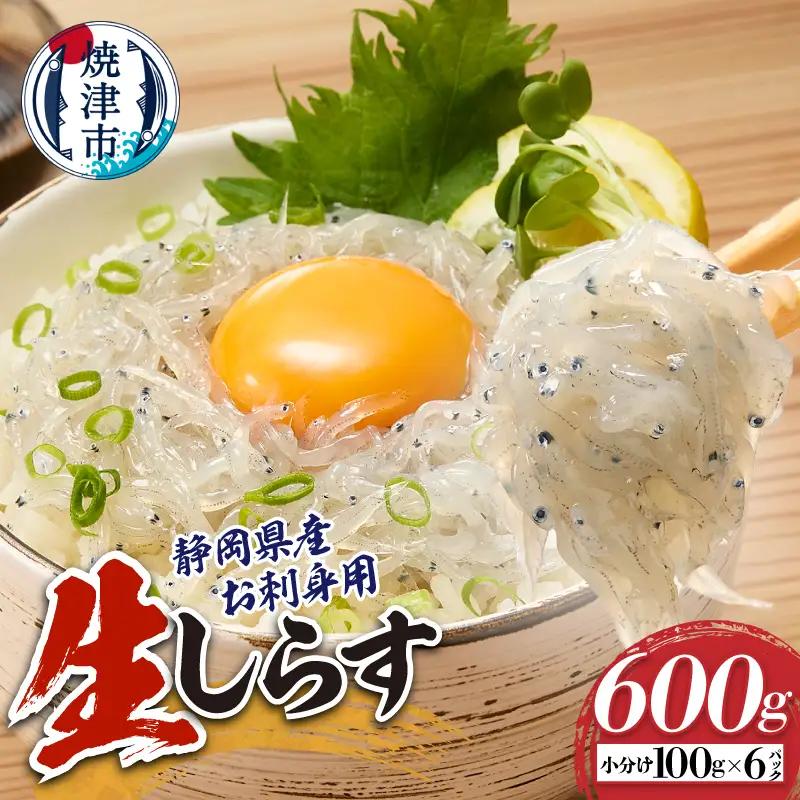 静岡県産お刺身用生しらす：100g×6パック　合計600g (a10-1266)