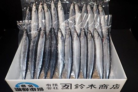 【北海道根室産】一汐さんま6尾入×2P、生さんま6尾入×2P A-14210