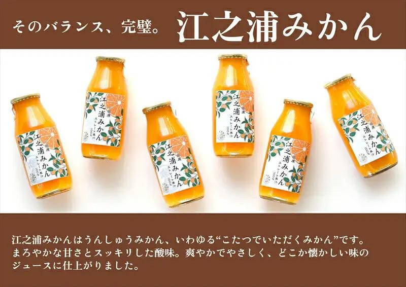 【定期便 3回】 小田原産江之浦みかん１００％ストレートジュース１８０ml３０本 【みかんジュース みかんジュース 神奈川県 小田原市 】