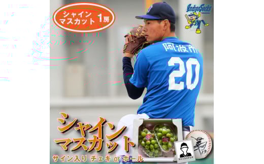 【サインボール】 先行予約 シャインマスカット 1房  徳島 インディゴソックス サイン入り ボール セット スポーツ 野球 四国アイランドリーグ 阿波市 