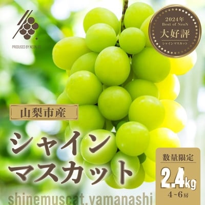 
            ＜2025年先行受付＞ シャインマスカット 4～6房(計約2.4kg)＜訳あり＞【1567962】
          