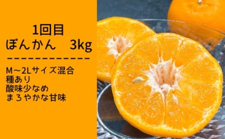 柑橘フルーツ４回定期便（ぽんかん３kg・麗紅３kg・文旦５kg・小夏３kg）みかん４種 先行予約【J00018】