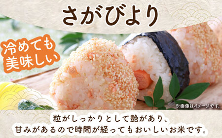 【ご飯でご飯が食べられる！】さがびより 白米 5kg（一等米）【一九FARM】[HDC001]