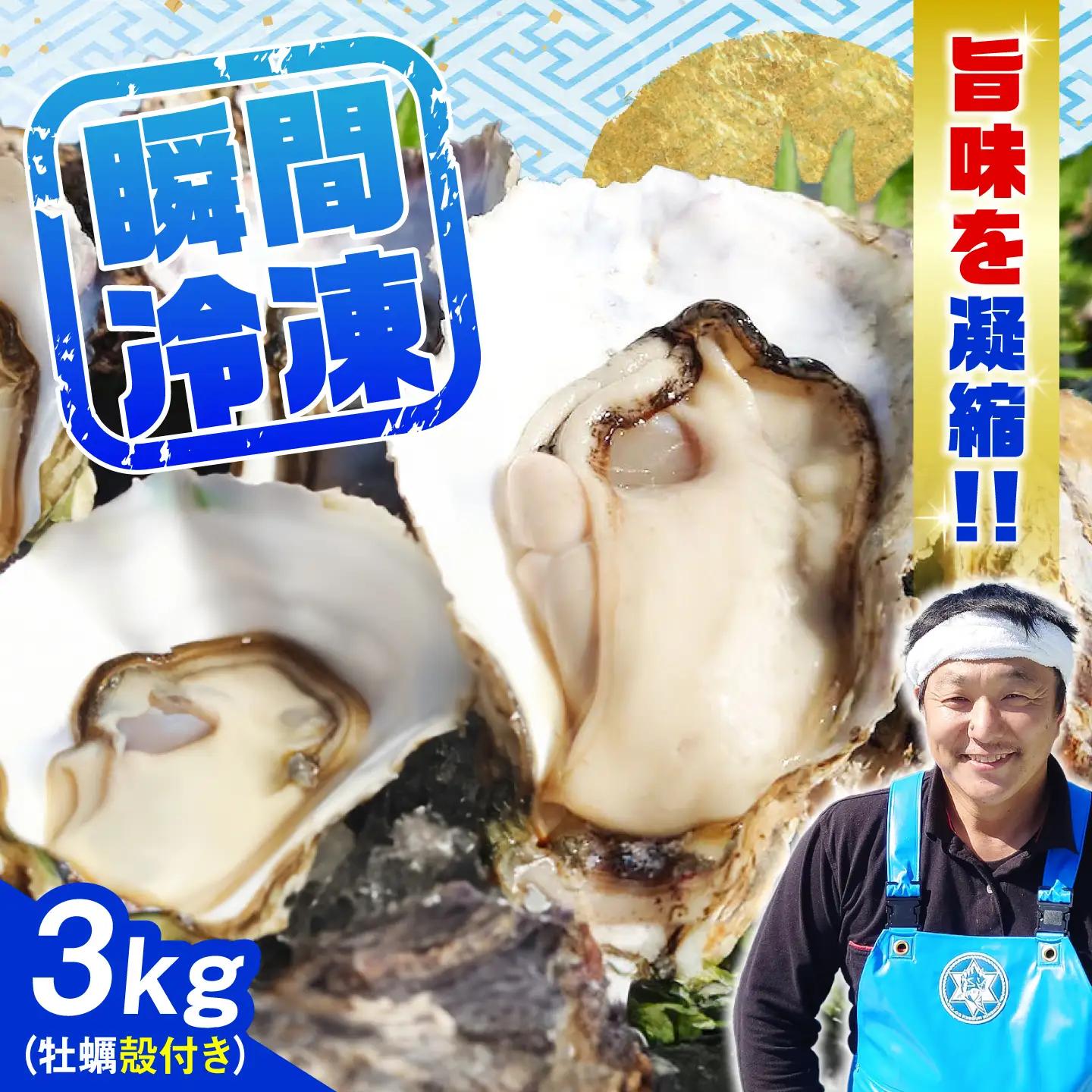 冷凍牡蠣 殻付き3kg 牡蠣[XAO030]