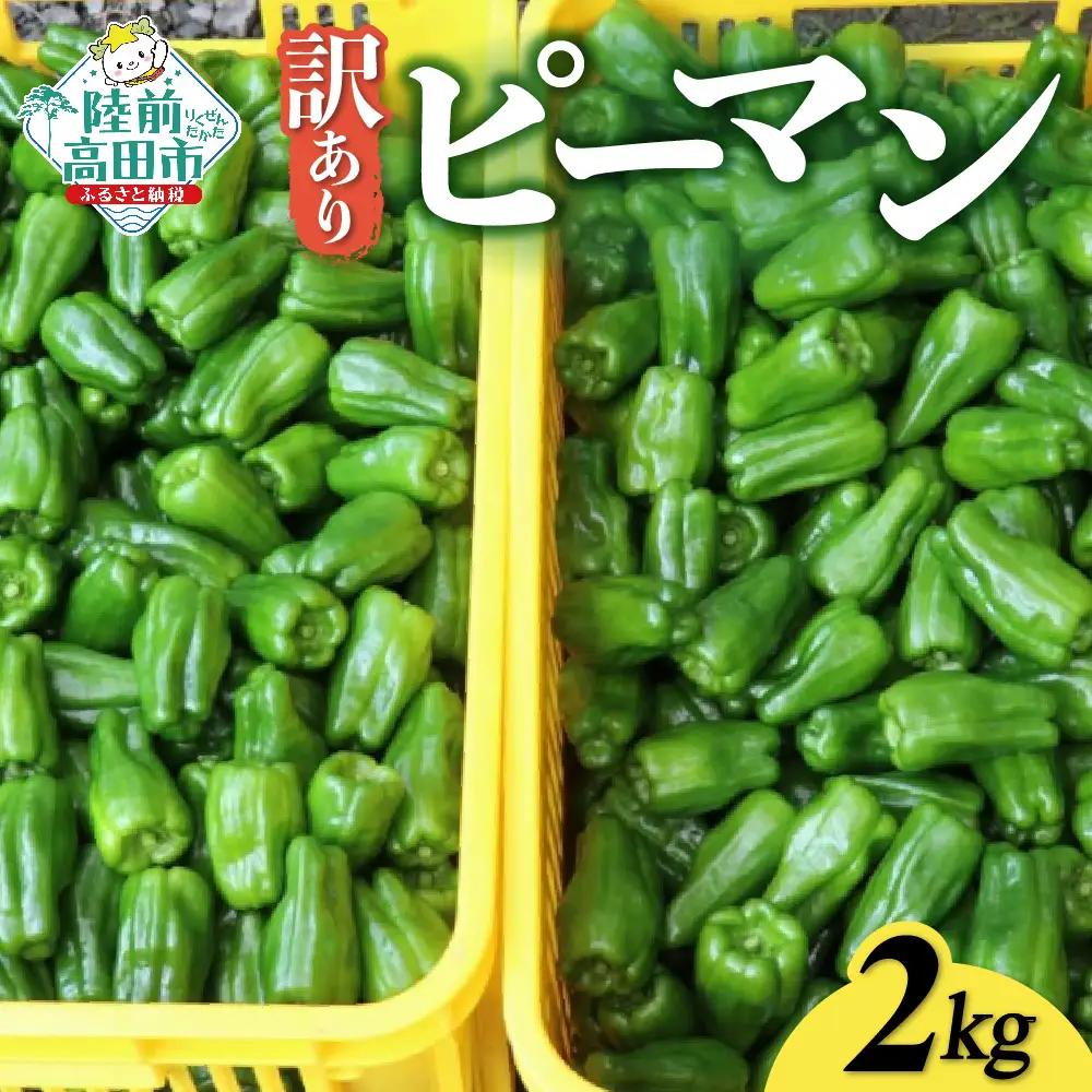 訳ありピーマン 2kg 野菜 料理 ピーマン