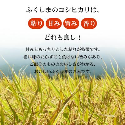 ふるさと納税 福島市 【令和7年産】 菅野房吉商店 福島市産コシヒカリ 4kg No.3247 |  | 01