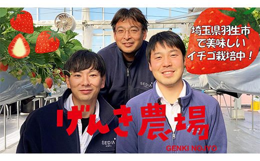 【 いちご 】 食べ比べ 560g 苺 イチゴ ストロベリー 産地直送 ご当地 果物 くだもの フルーツ デザート 朝どれ 完熟 食品 冷蔵 げんき農場 埼玉県 羽生市 約 560g