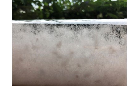 羽毛布団 合掛け カバー セット おにいちゃんおねえちゃんになったら使う合掛け羽毛ふとん＋和晒しひとえガーゼ グリーンのカバーのセット 寝具 羽毛ふとん 掛け布団 布団 ふとん 羽毛 ガーゼ 