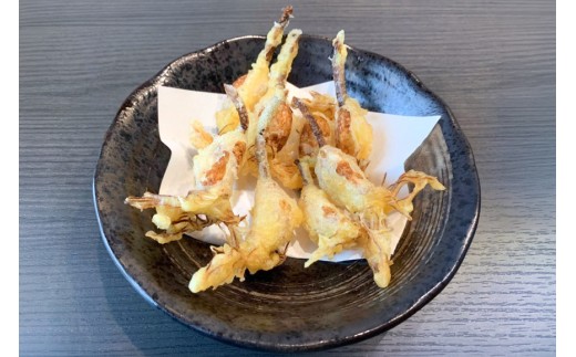 にんにく 満点にんにく 10袋 3回 定期便 [グローアップ 愛知県 岡崎市 ok23bzw550010] ニンニク 大蒜 ガーリック 発芽 野菜 やさい 生にんにく 国産