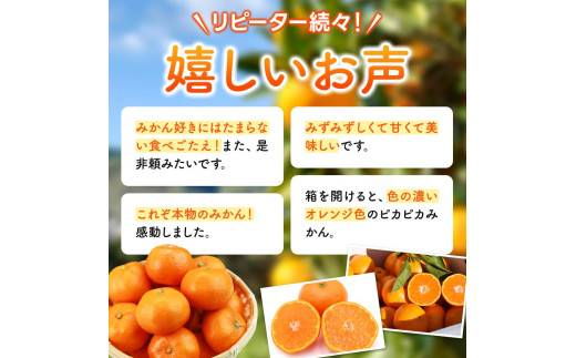  ゆらみかん 2kg / 温州みかん 和歌山県 柑橘 みかん 甘い 蜜柑 フルーツ 果物 くだもの 食品 人気   おすすめ 送料無料 産地直送 由良町 ※2026年11月下旬頃から12月上旬頃に順次