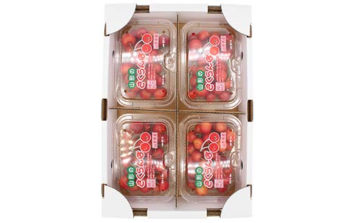 山形県産 さくらんぼ 200g×4パック 品種おまかせ Mサイズ以上 秀品 (佐藤錦・紅秀峰・大将錦) 果物 くだもの フルーツ 夏果物 サクランボ F4A-0945