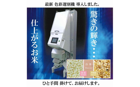 令和7年産 きぬむすめ5kg×2 無洗米 