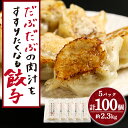 【ふるさと納税】 だぶだぶの肉汁をすすりたくなる餃子 100個（20個入×5パック）餃子 肉料理 ぎょうざ ギョウザ 惣菜 北海道ふるさと納税 白老 ふるさと納税 北海道