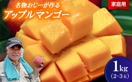 【2026年7月から順次発送・家庭用】名物おじーが作るアップルマンゴー1kg(2～3玉)【配送不可地域：離島】【1694643】