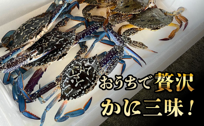 【先行予約】【2026年8月以降順次発送】豊前海産 タイワンガザミ 1kg (4〜7杯前後) オス メス セット 《築上町》【明青丸】 ワタリガニ 渡り蟹 蟹 カニ [ABCB002]