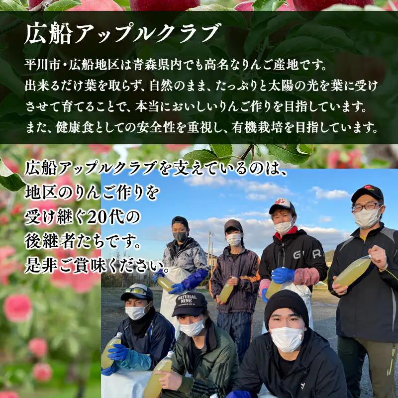 りんご 贈答用 金星 約3kg  12月発送 青森県平川市産[hi-0004-004]
