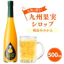 【ふるさと納税】九州を飲む！九州果実シロップ 桜島小みかん 500ml 1本 果実 シロップ ミカン オレンジ みかん 果汁 希少 はちみつ ハチミツ 桜島 送料無料