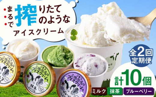 【全2回定期便】ミルク工房 カップアイスセット（130ml×10個）《喜茂別町》【ニセコリゾート観光協会】 アイス アイスクリーム ジェラート ミルク 抹茶 ブルーベリー 詰め合わせ 冷凍配送 北海道 [AJAI055] 22000 22000円