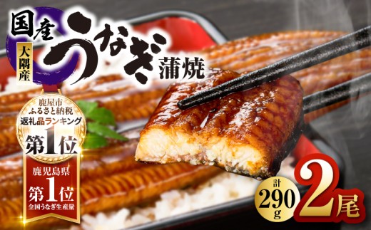 【7営業日以内に発送】鹿児島県大隅産うなぎ蒲焼2尾（290g）　KN110-001-YM