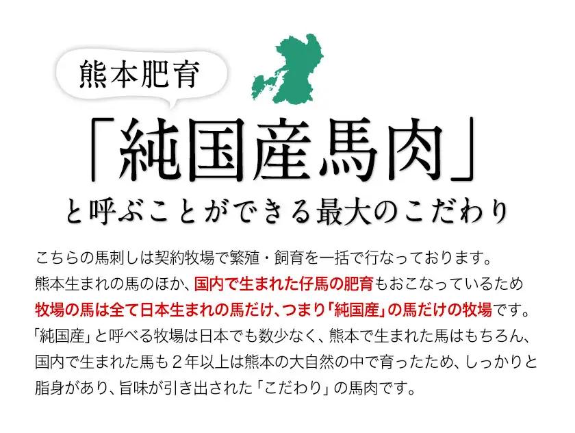 手作りハン馬ーグ 100g×10個 馬肉100%配合！【熊本肥育】ハンバーグ たっぷり 冷凍 お中元 肉 お手軽 お取り寄せ《30日以内に出荷予定(土日祝除く)》