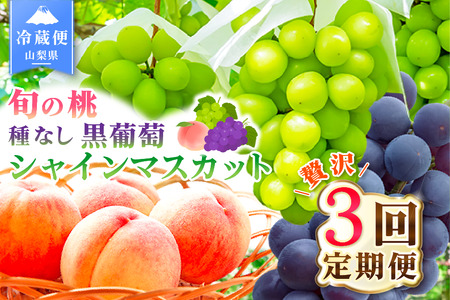 【2026年発送 先行予約】3回定期便 旬のフルーツ定期便（桃2㎏・種無し黒葡萄2～3房・シャインマスカット2～3房）180-010-26y