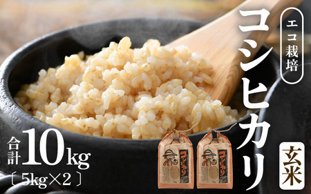 【先行予約】【令和8年産 新米】エコ栽培コシヒカリ 玄米10kg（5kg×2） ／ 鮮度抜群 福井県産 こしひかり ご飯 新鮮 玄米 ※2026年10月上旬以降順次発送 [aw063-b011]