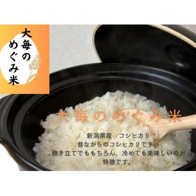 ふるさと納税 村上市 【新米受付・令和8年産米】精米　新潟県村上市産　コシヒカリ「大毎のめぐみ米」5kg　1093003N |  | 02