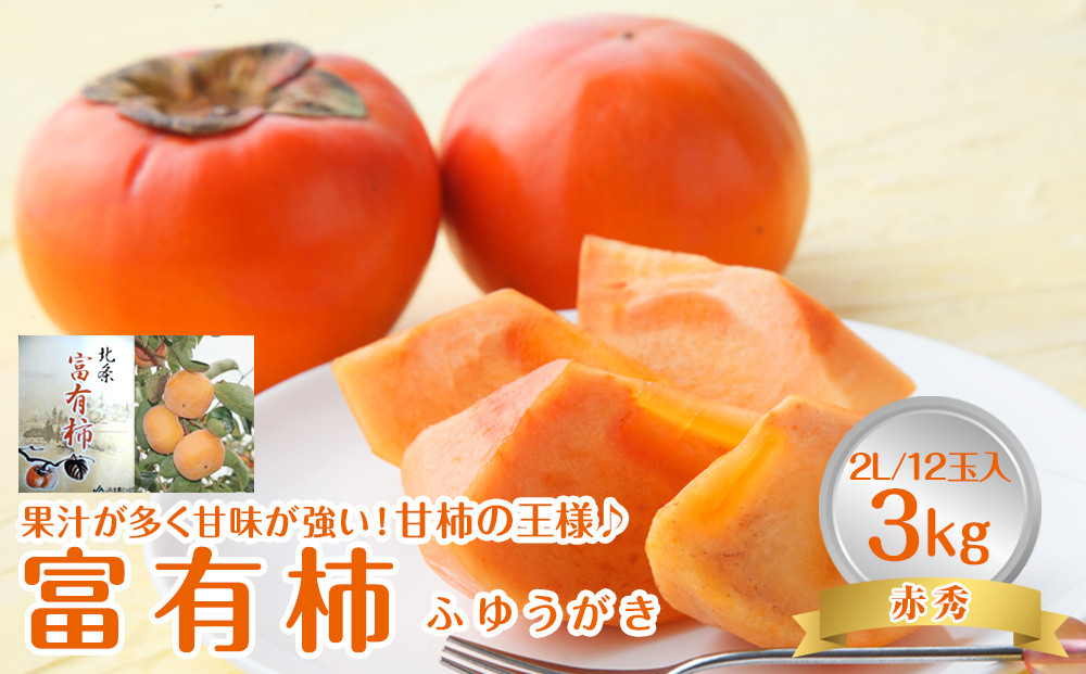 748.【先行予約】【ＪＡ】　富有柿　赤秀2Ｌ 3kg箱（12玉）※着日指定不可　※離島への配送不可　※2026年11月初旬頃～11月下旬頃に順次発送予定 313726_BN014