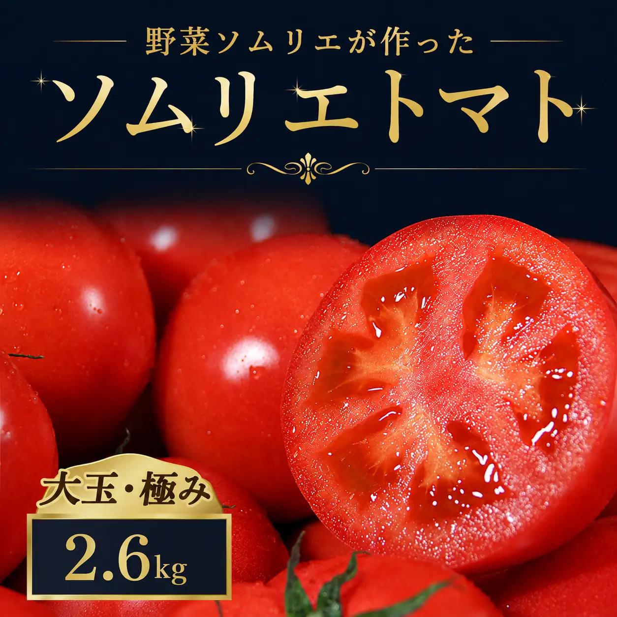 トマト 大玉【極み】 2.6kg｜レッドアップ