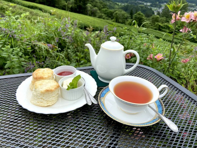 透き通るような紅茶とやさしい風味を楽しめます。