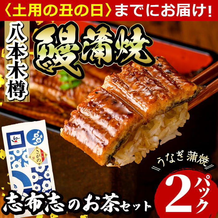 【ふるさと納税】八本木樽鰻2尾＆お茶セット うなぎ蒲焼(156g以上×2尾)＆煎茶さがの(100g) 鰻 タレ たれ さんしょう 山椒付 お茶 緑茶 鹿児島県産 国産 冷凍 おかず おつまみ お祝い 惣菜【志布志市観光特産品協会】a5-330