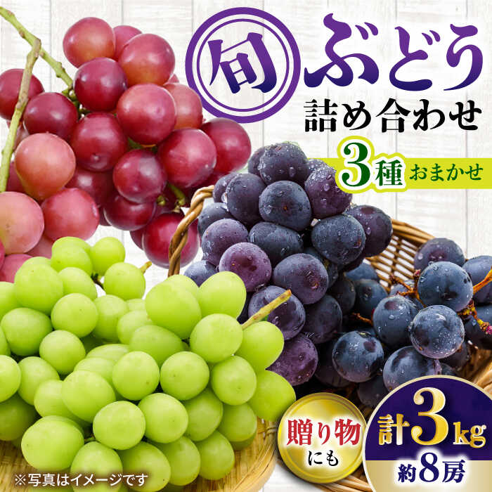 【ふるさと納税】【先行受付】8月下旬より順次発送 旬のブドウ　3種詰め合わせ　約3kg　箱入り / ぶどう シャインマスカット 食べ比べ 3種 フルーツ 果物 / 大村市 / 大又農園[ACZO004]