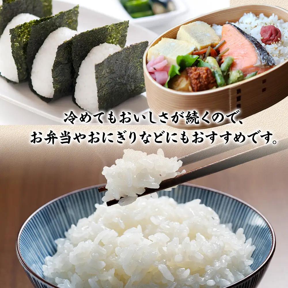 【期間限定・数量限定！】令和7年産　毎月お届け　定期便　富水米　精米　5kg×12か月　にこまる