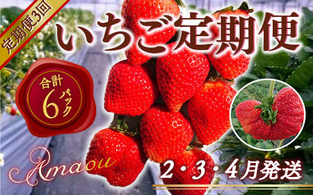 【いちご定期便】あまおう2パック×3回 先行予約 (2025年2月3月4月発送)　MY014