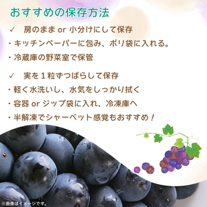 ぶどう ピオーネ 2kg 3～5房 ぶどう ピオーネ ぶどう ぶどう ぶどう 