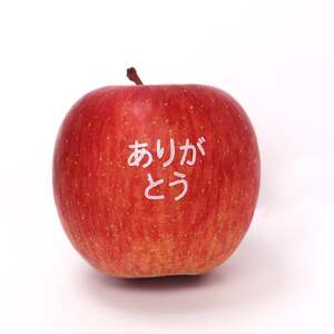 敬老の日 につたえる ありがとう フルーツ セット 3kg 果物 山形 08-03-093