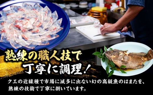 【着日指定可能】【冷蔵でお届け】若狭まはた刺身と姿煮のセット2人前   小浜市 / 若狭ふぐの宿 下亟 【配送不可地域：北海道・沖縄・離島】  [BFAF018] 