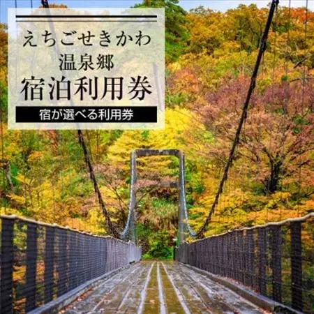 選ばれる温泉体験 3,000円分の温泉宿泊利用券【1278597】