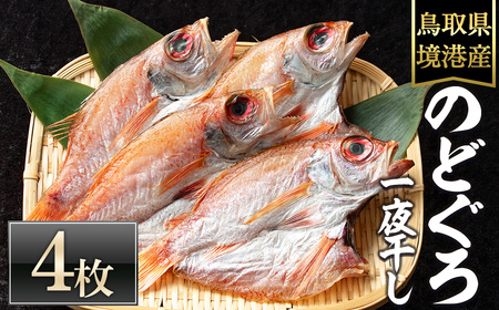 ＜数量限定＞のどぐろ一夜干し(4枚) 国産 魚介 干物 干し物 白身 海の幸 のどぐろ 赤ムツ 冷凍 おかず おつまみ お土産 【sm-DG002-B】【木村鮮魚店】