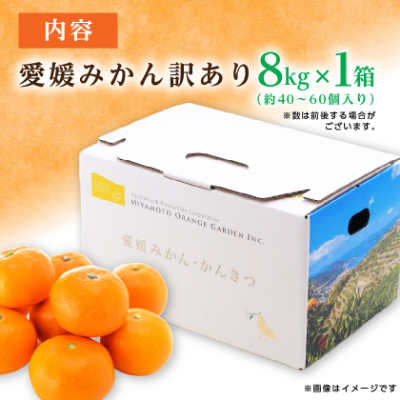 【2025年11月より順次発送】大玉サイズのみ厳選!愛媛みかん8kg【訳あり】【C25−142】【1166254】