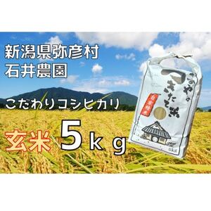 【新米】新潟県弥彦村石井農園　令和6年産コシヒカリ【玄米 5kg】【1508844】