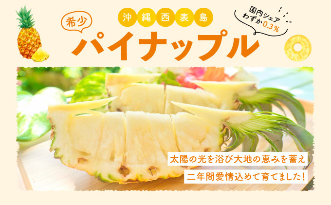 【訳あり】☆新感覚の味わい☆ 桃のような芳醇な香りのする『西表島産 完熟ピーチパイン』４kg