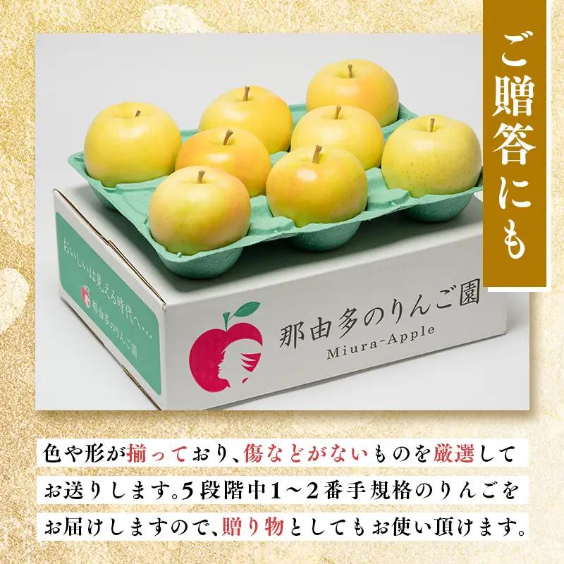りんご  贈答用 トキ 約3kg 青森県平川市産 [hi-0005-017]