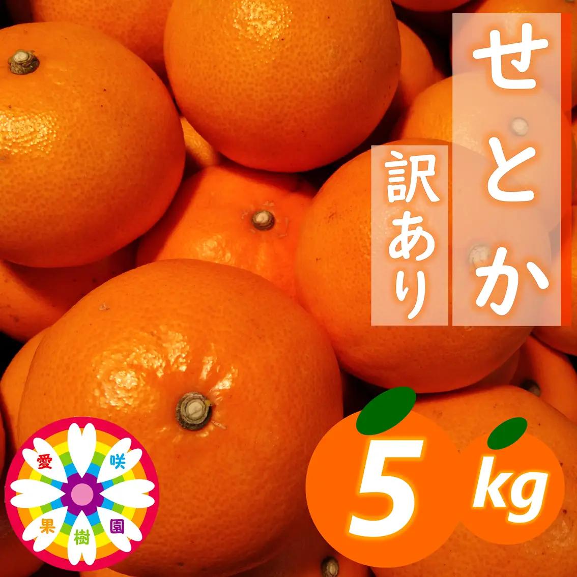 【先行受付】愛咲果樹園「せとか」訳あり約5kg【C71-38】YWTS034
