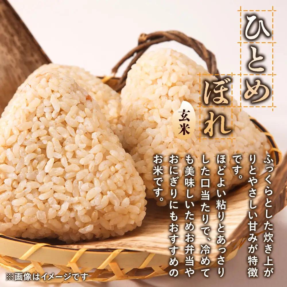 《令和8年産 新米受付》《定期便4ヶ月》【玄米】極上秋田銘柄米 ひとめぼれ 5kg