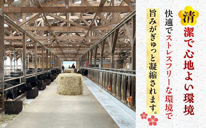 【全6回定期便】五島列島産 黒毛和牛 スジ 1kg 五島市/山口Farm [PGJ027]