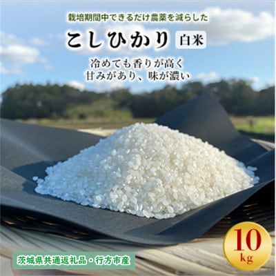 【毎月定期便】栽培期間中できるだけ農薬を減らす こしひかり白米10kg茨城共通返礼品行方産全12回【4055847】