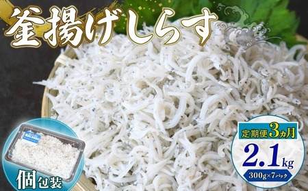 【定期便3回 しらす】釜揚げしらす 2.1kg