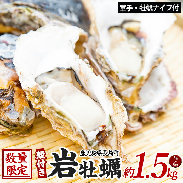 【ふるさと納税】夏に美味い岩がき 約1.5kg 錦盛丸水産 (計約1.5kg・5個×約300g) 鹿児島県産 国産 特産品 長島町産 カキ 牡蛎 殻付き 牡蠣 生牡蛎 生牡蠣 岩牡蛎 岩牡蠣 貝 貝類 魚介類 海産物 海の幸 軍手 カキナイフ付き 海鮮 牡蠣フライ【錦盛丸水産】kinsei-1298-01R7